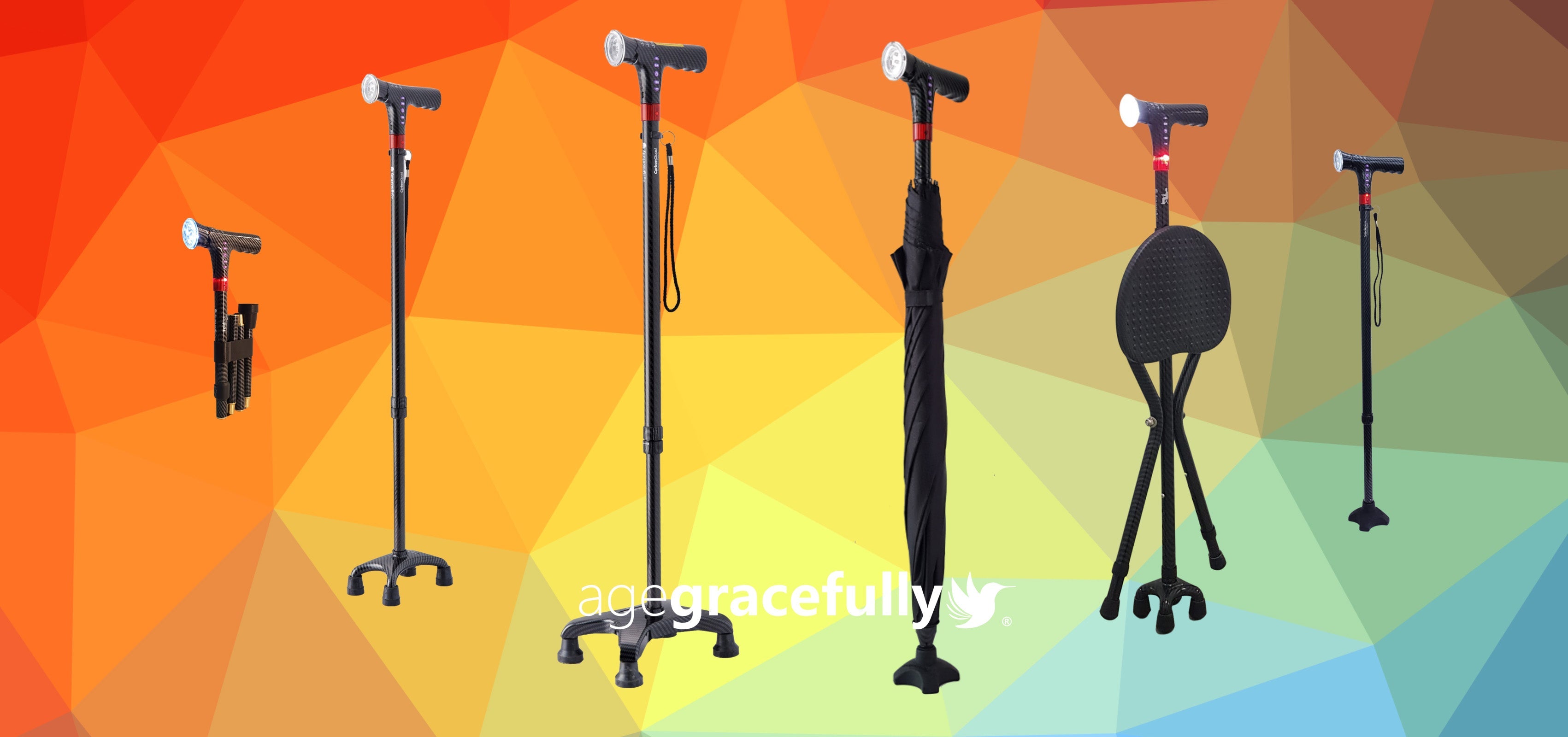 Agegracefully Smart Walking Stick Finder