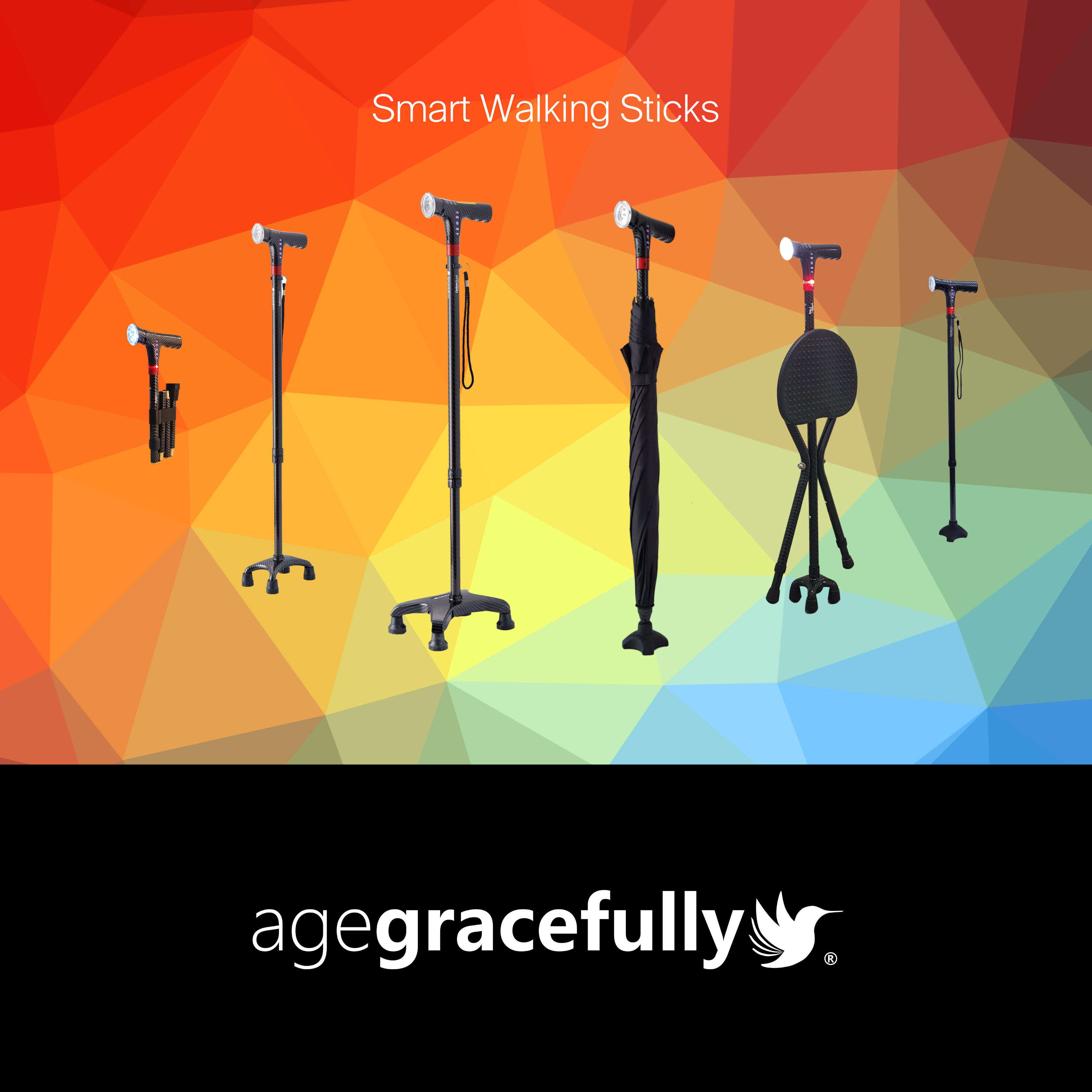Agegracefully Smart Walking Sticks & Canes for Elderly | Singapore