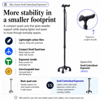 Agegracefully CarbonQuad Small Walking Stick Key benefits features and comparision with mass brand