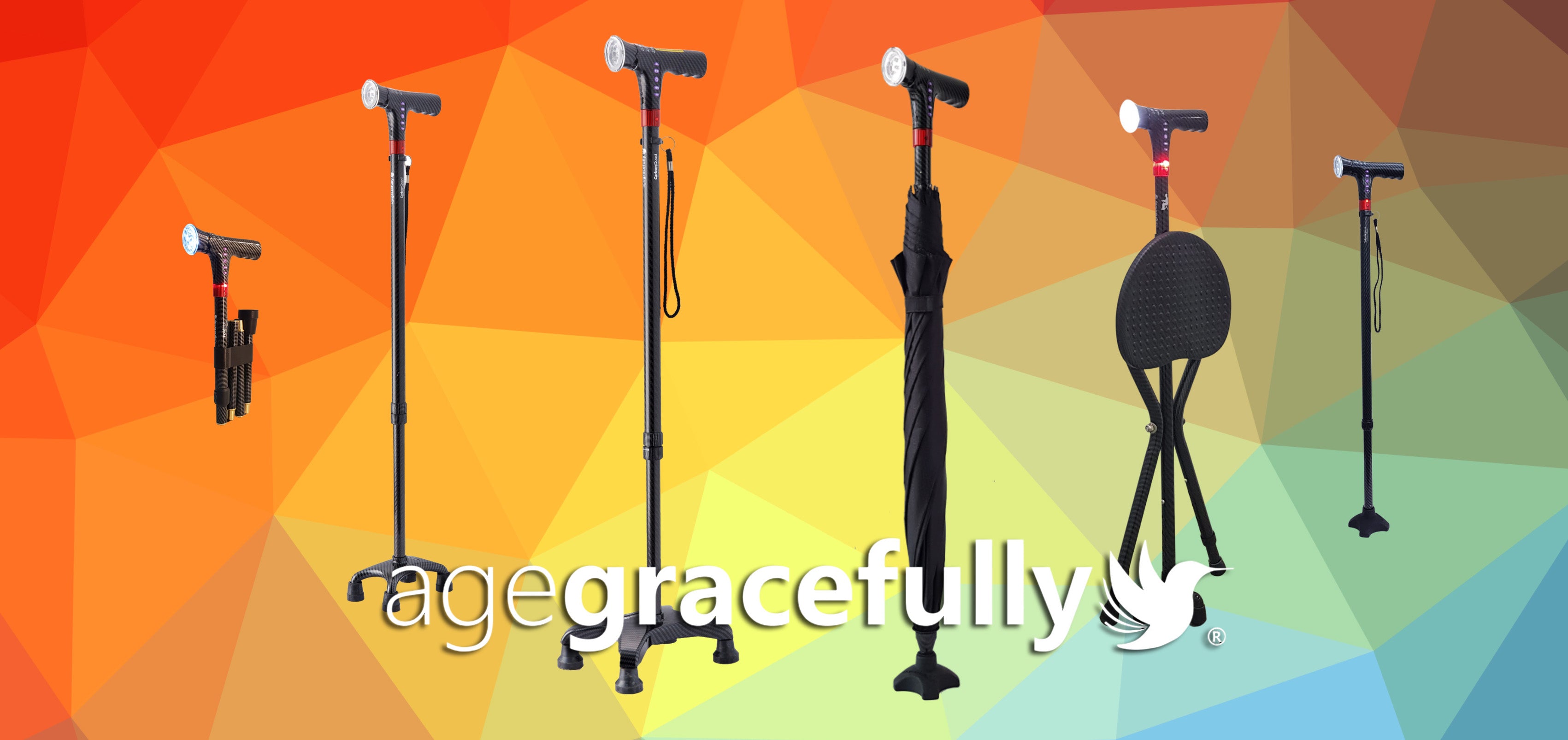Agegracefully Smart Walking Sticks Collection Singapore