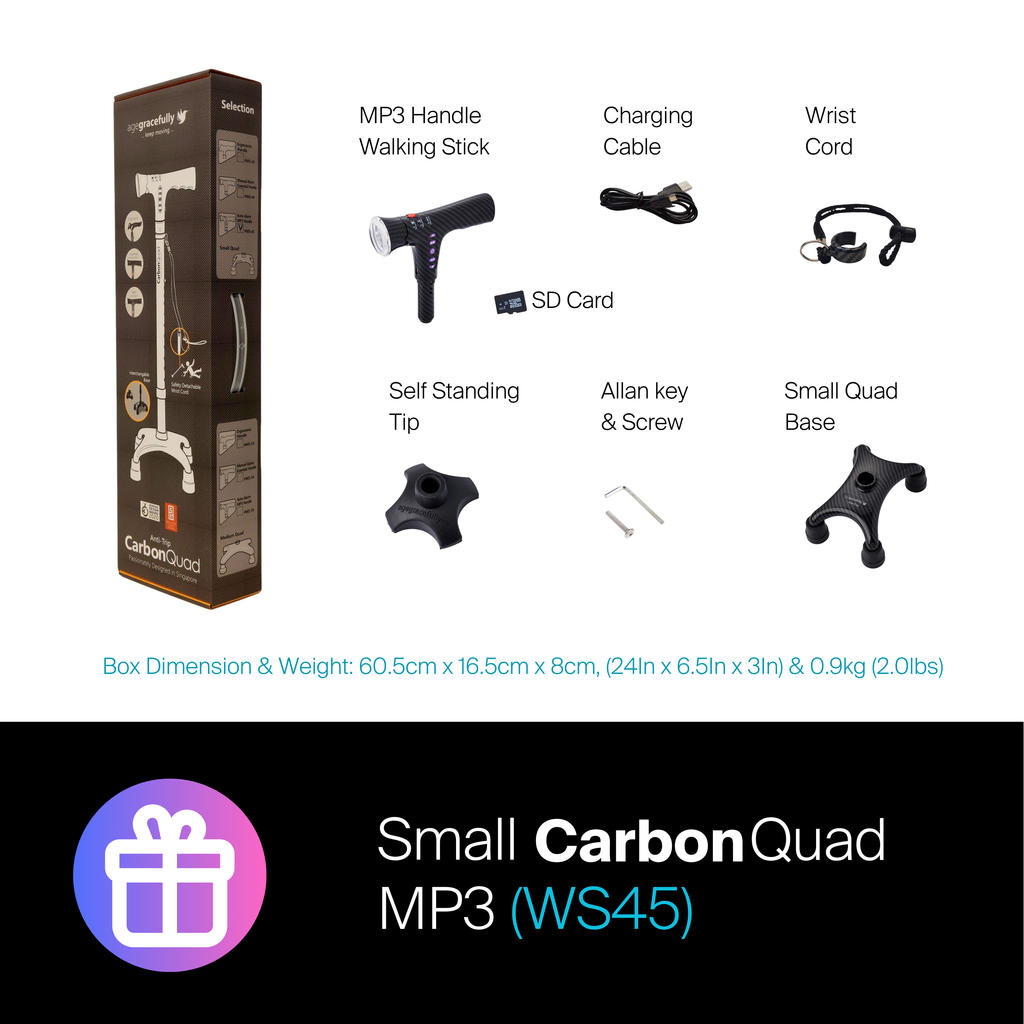 Agegracefully Small CarbonQuad MP3 Smart Walking Stick Box Contents